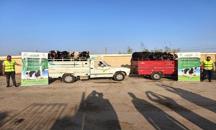 ضمن «حياة كريمة».. الأورمان تبدأ ذبح الأضاحي في الفيوم أول أيام عيد الأضحى