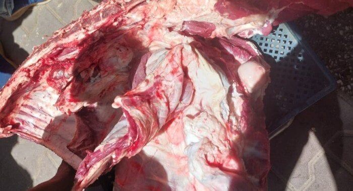 ضبط لحوم مذبوحة خارج المجازر وتحرير 317 محضرًا تموينيًا بأسيوط ضبط لحوم مذبوحة خارج المجازر وتحرير 317 محضرًا تموينيًا بأسيوط