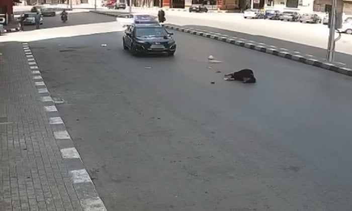 سيارة ملاكي تُطيح بفتاة بطنطا والأمن يكثف جهوده لضبط قائدها