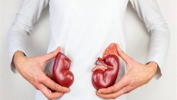 مشروبات طبيعية لتنظيف الكلى