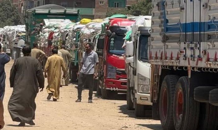 محافظ المنوفية يتابع منظومة توريد القمح ويؤكد توريد 105ألف طن محافظ المنوفية يتابع منظومة توريد القمح ويؤكد توريد 105ألف طن