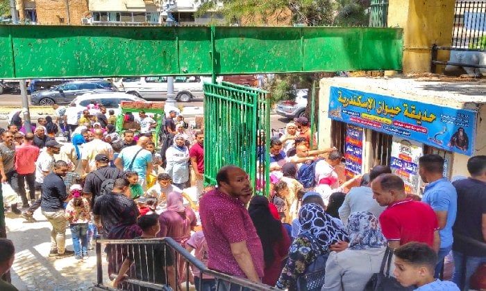 وسط أجواء من البهجة والمرح.. إقبال كثيف على حديقة حيوان الإسكندرية وسط أجواء من البهجة والمرح.. إقبال كثيف على حديقة حيوان الإسكندرية
