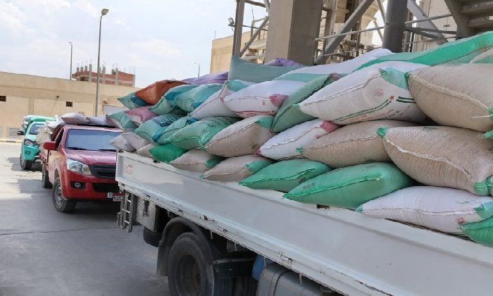 شون وصوامع البحيرة تستقبل 307 أطنان قمح من المزارعين شون وصوامع البحيرة تستقبل 307 أطنان قمح من المزارعين