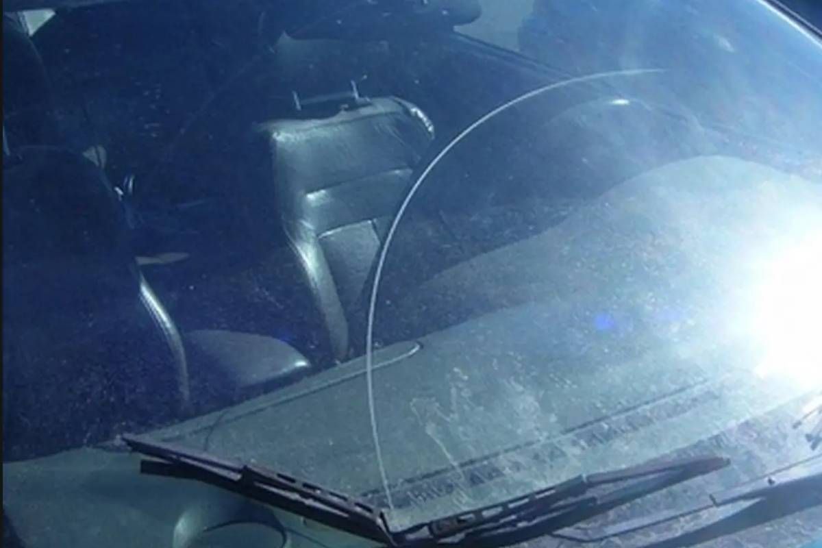 d2e280c796.jpg