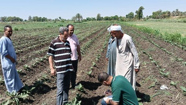 الزراعة: تذليل أى معوقات تواجه تنفيذ خطة الأنشطة الإرشادية بالمحافظات الزراعة: تذليل أى معوقات تواجه تنفيذ خطة الأنشطة الإرشادية بالمحافظات