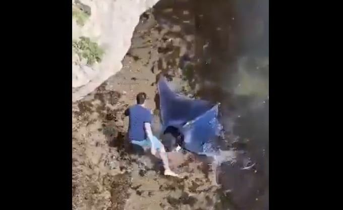 هل شاهدت سمكة الشيطان النادرة من قبل؟.. فيديو قد يبهرك هل شاهدت سمكة الشيطان النادرة من قبل؟.. فيديو قد يبهرك