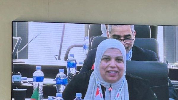 وفد وزارة التعليم العالي يشارك في اجتماع G20 البحثي بجنوب أفريقيا وفد وزارة التعليم العالي يشارك في اجتماع G20 البحثي بجنوب أفريقيا