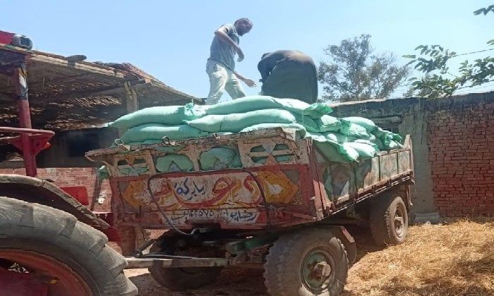 في حملات تموينية.. الداخلية تضبط 5 أطنان دقيق مدعم في حملات تموينية.. الداخلية تضبط 5 أطنان دقيق مدعم