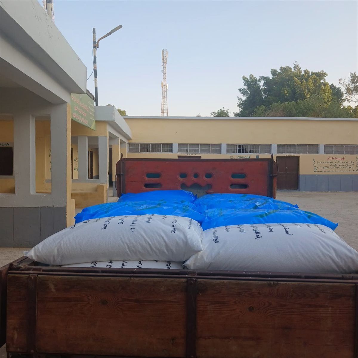 d65565d189.jpg