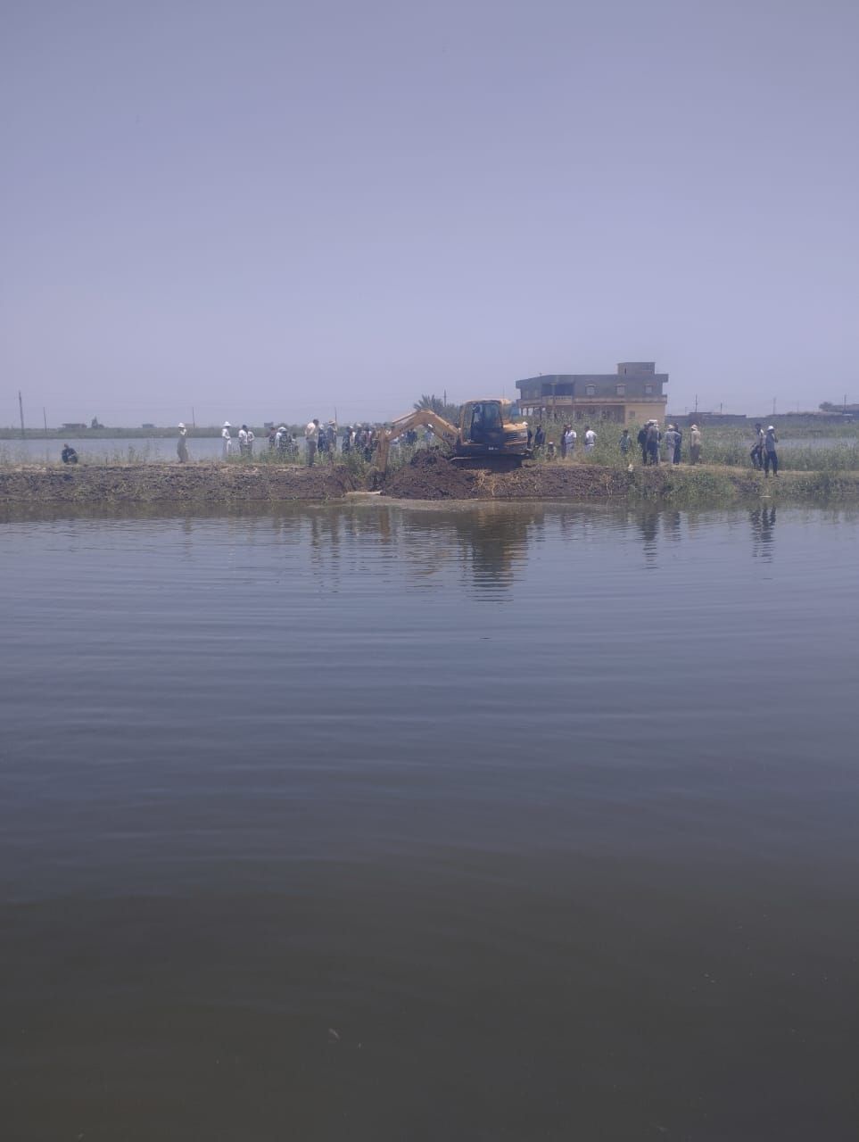 a49de8f01f.jpg