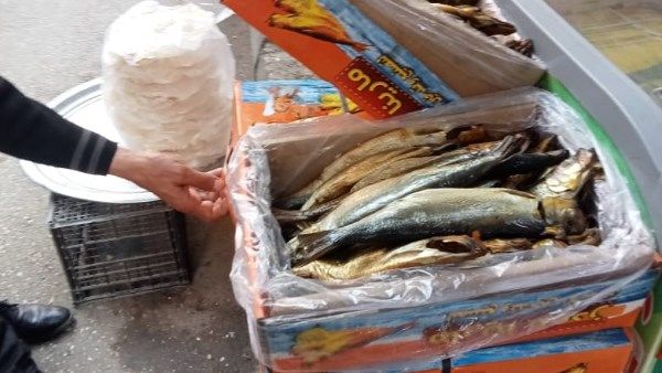 ضبط طن رنجة غير صالحة في حملات بيطرية بالغربية ضبط طن رنجة غير صالحة في حملات بيطرية بالغربية
