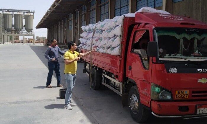 شون بني سويف تتسلم 280 ألف و465طن قمح محلي شون بني سويف تتسلم 280 ألف و465طن قمح محلي