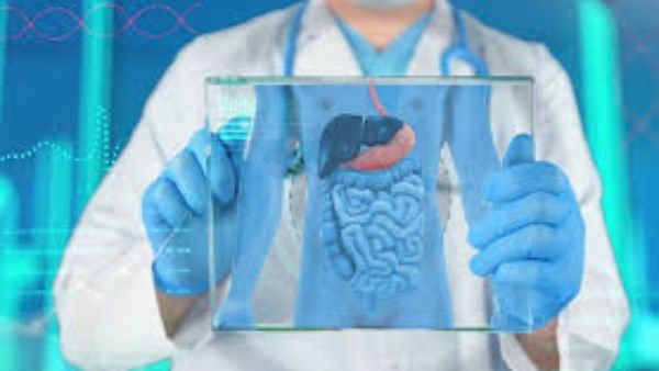 لماذا صحة الأمعاء مهمة؟