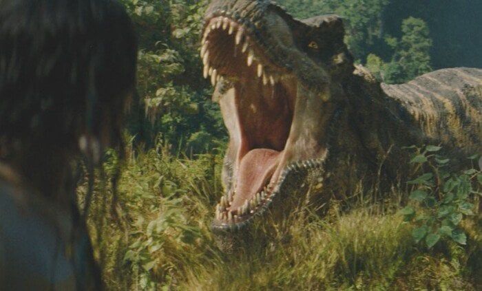 لمحبي السينما العالمية.. تعرف على أحداث فيلم «Jurassic World Rebirth» لمحبي السينما العالمية.. تعرف على أحداث فيلم «Jurassic World Rebirth»