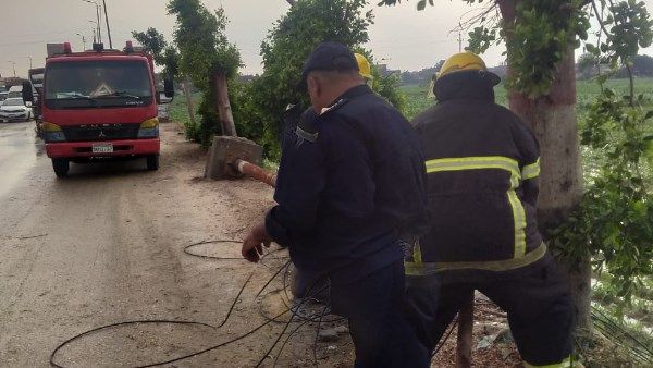 مصرع شاب سقطت عليه شجرة أثناء سيره بسبب الطقس السيئ في المنوفية مصرع شاب سقطت عليه شجرة أثناء سيره بسبب الطقس السيئ في المنوفية