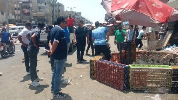 عقب إصابة أحد موظفيه.. رئيس زهور بورسعيد يقود حملة بشارع عبد الحليم محمود عقب إصابة أحد موظفيه.. رئيس زهور بورسعيد يقود حملة بشارع عبد الحليم محمود