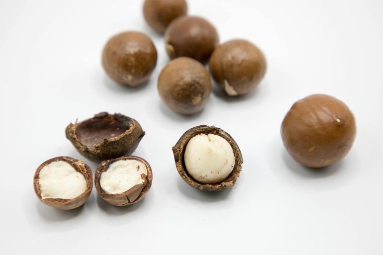 Close-Up Shot of Macadamia Nuts on a White Surface