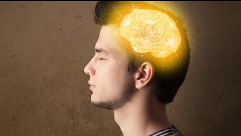 وظائف الدماغ