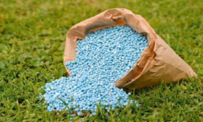قبل بيعها بالأسواق.. 5 أطنان محسنات زراعية مجهولة المصدر في قبضة الرقابة التموينية بالبحيرة قبل بيعها بالأسواق.. 5 أطنان محسنات زراعية مجهولة المصدر في قبضة الرقابة التموينية بالبحيرة