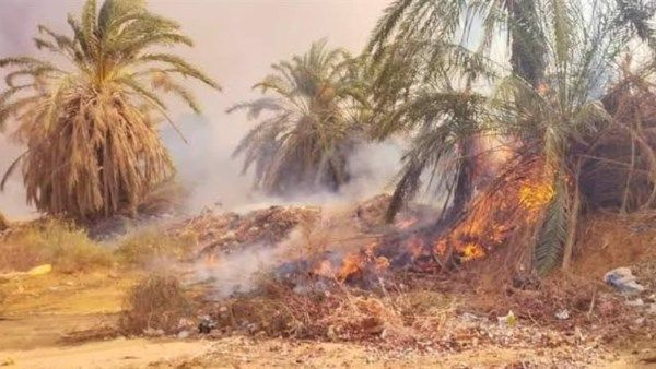 السيطرة على حريق بمزرعة دواجن في الشرقية السيطرة على حريق بمزرعة دواجن في الشرقية