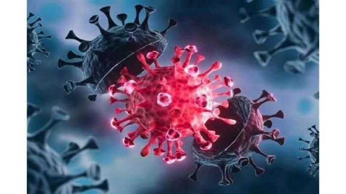 ظهر في 22 دولة.. عوض تاج الدين يُعلن مفاجأة بشأن متحور كورونا الجديد |فيديو ظهر في 22 دولة.. عوض تاج الدين يُعلن مفاجأة بشأن متحور كورونا الجديد |فيديو