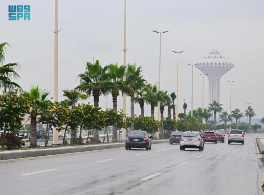 أمطار الشرقية