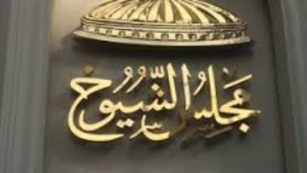 27 و28 أغسطس.. بدء جولة الإعادة بانتخابات مجلس الشيوخ داخل مصر 27 و28 أغسطس.. بدء جولة الإعادة بانتخابات مجلس الشيوخ داخل مصر