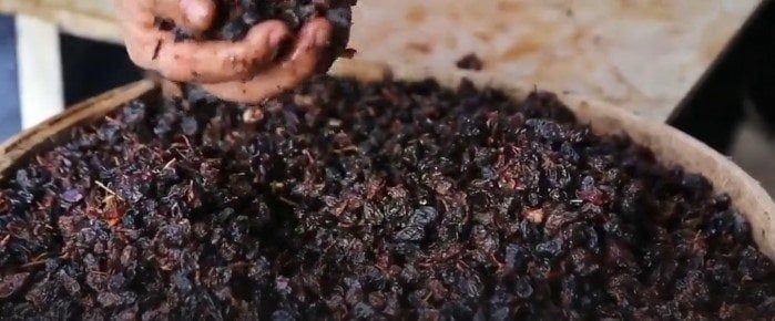 المنوفي: التوسع في تصنيع الزبيب خطوة استراتيجية تدعم الاقتصاد الوطني وتقلل الفاقد الزراعي المنوفي: التوسع في تصنيع الزبيب خطوة استراتيجية تدعم الاقتصاد الوطني وتقلل الفاقد الزراعي