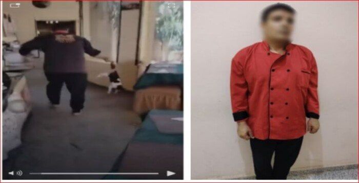 القبض على «طباخ» ضرب قطة حتى الموت في مطروح القبض على «طباخ» ضرب قطة حتى الموت في مطروح
