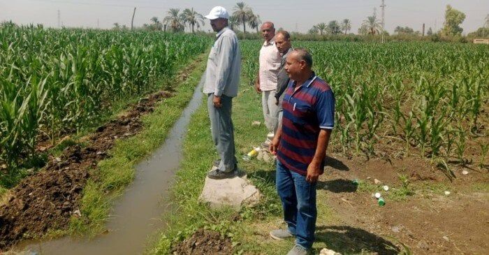 «زراعة أسيوط» تُنفذ يوم حقلي بمركز منفلوط ضمن مشروع ترشيد استخدام المياه «زراعة أسيوط» تُنفذ يوم حقلي بمركز منفلوط ضمن مشروع ترشيد استخدام المياه
