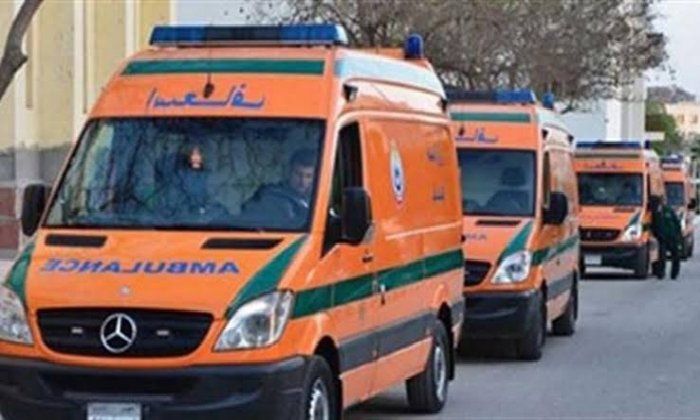 مصرع عامل صعقا بالكهرباء داخل أحد مصانع الأسمدة بالمنوفية