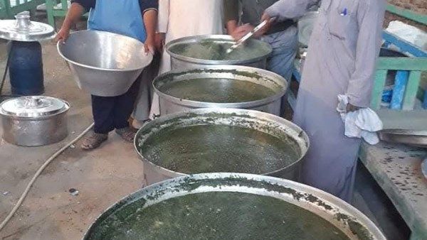 الأقصر تتألق بليلة الملوخية.. عادة موروثة تحولت إلى أيقونة المولد النبوي الشريف