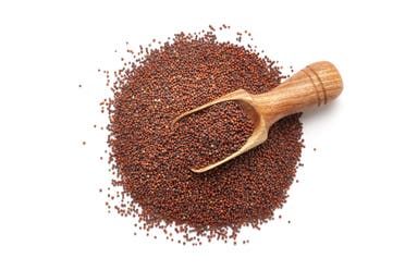 طحين الراجي المعروف في الهند - آيستوك