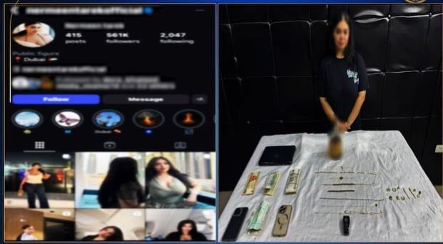 تفاصيل القبض على البلوجر «نيرمين طارق».. والتهم الموجهة إليها تفاصيل القبض على البلوجر «نيرمين طارق».. والتهم الموجهة إليها