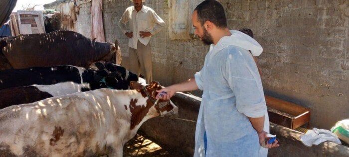 «بيطري بورسعيد» تواصل حملة التحصين ضد العترة الجديدة من الحمى القلاعية SAT1 «بيطري بورسعيد» تواصل حملة التحصين ضد العترة الجديدة من الحمى القلاعية SAT1