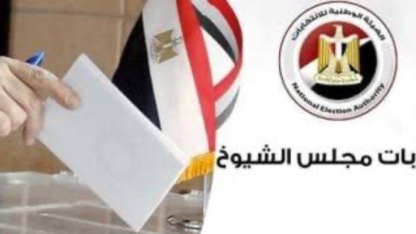 الوطنية للانتخابات: 5 لجان في بني سويف والأقصر استمرت في التصويت بعد التاسعة مساء الوطنية للانتخابات: 5 لجان في بني سويف والأقصر استمرت في التصويت بعد التاسعة مساء