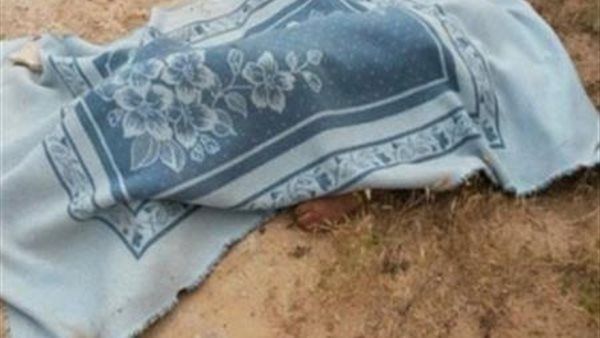 بنيران صديقة.. مصرع مزارع بطلقات نارية في قنا بنيران صديقة.. مصرع مزارع بطلقات نارية في قنا
