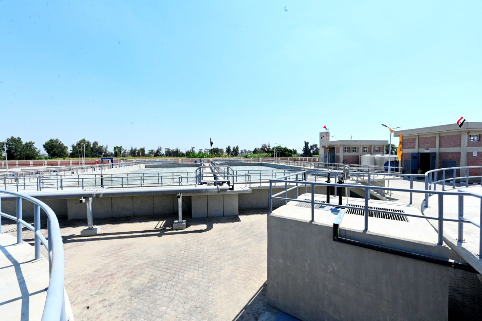 63b0f31855.jpg
