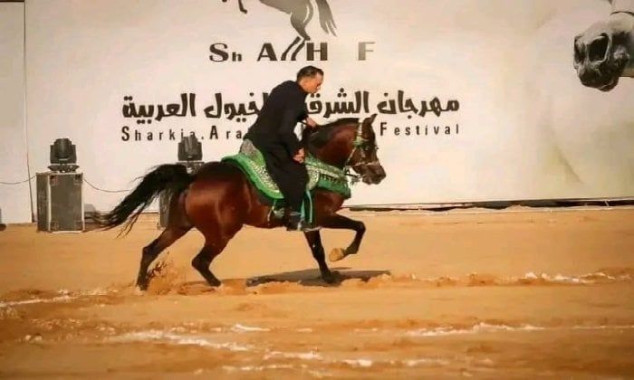 فتح باب التسجيل لبطولتي «أدب وجمال الخيل العربية» ضمن فعاليات مهرجان الشرقية فتح باب التسجيل لبطولتي «أدب وجمال الخيل العربية» ضمن فعاليات مهرجان الشرقية