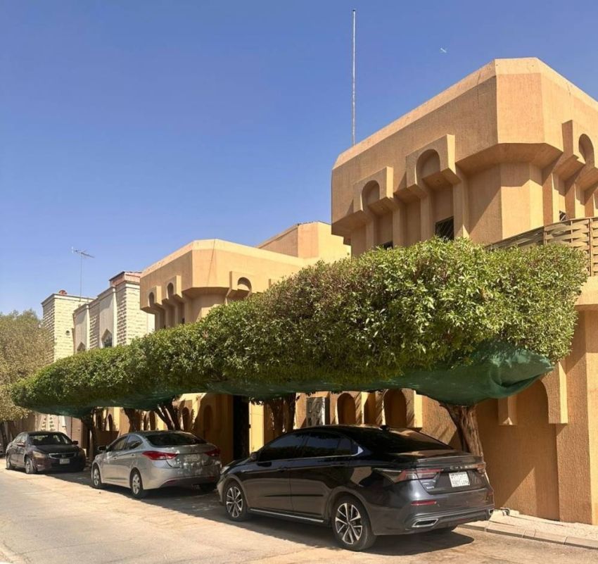 مظلات من الاشجار مظلات من الاشجار