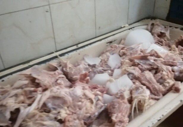 ضبط 2.3 طن دواجن مجهولة المصدر بشبرا الخيمة ضبط 2.3 طن دواجن مجهولة المصدر بشبرا الخيمة