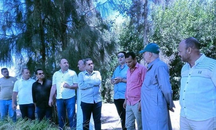 زراعة كفر الشيخ تواصل متابعات الزراعات الصيفية وصرف الأسمدة ومكافحة الآفات زراعة كفر الشيخ تواصل متابعات الزراعات الصيفية وصرف الأسمدة ومكافحة الآفات