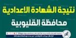 محافظ القليوبية يعتمد نتيجة الشهادة الإعدادية بنسبة نجاح 83.14% - هرم مصر