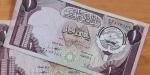 سعر الدينار الكويتي مقابل الجنيه المصري اليوم الجمعة 8 مايو 2026.. وفقًا لآخر تحديث - جريدة هرم مصر