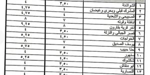 بعد تحريك أسعار البنزين والسولار..محافظ الفيوم: الإعلان عن تعريفة الركوب الجديدة لسيارات الأجرة والتاكسي