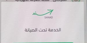 شكاوى من عُطل في عملية التسجيل لدعم الكهرباء عبر تطبيق "سند" .. ومصدر يوضح لـ"سرايا " السبب