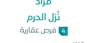 مزاد عقاري جديد من شركة السعدون العقارية تحت إشراف مزادات إنفاذ