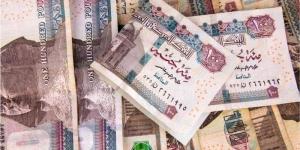 ارتفاع سعر الدولار اليوم مقابل الجنيه في البنوك المصرية - هرم مصر