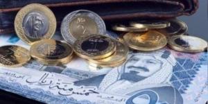 سعر الريال اليوم مقابل الجنيه.. ارتفاع في البنوك المصرية - هرم مصر