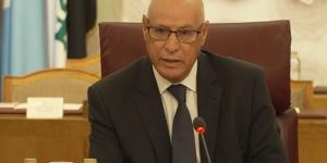 الجامعة العربية: تؤكد أهمية دور الإعلام في منظومة حقوق الإنسان - هرم مصر